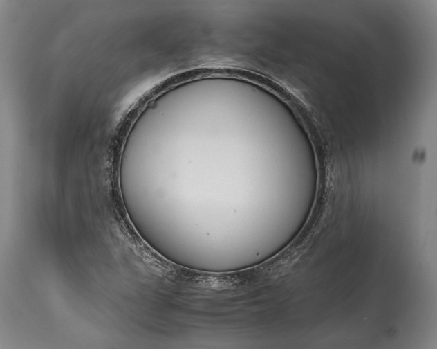 X0000115441311200911181514