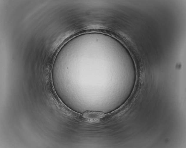 X0000115441313200911181514