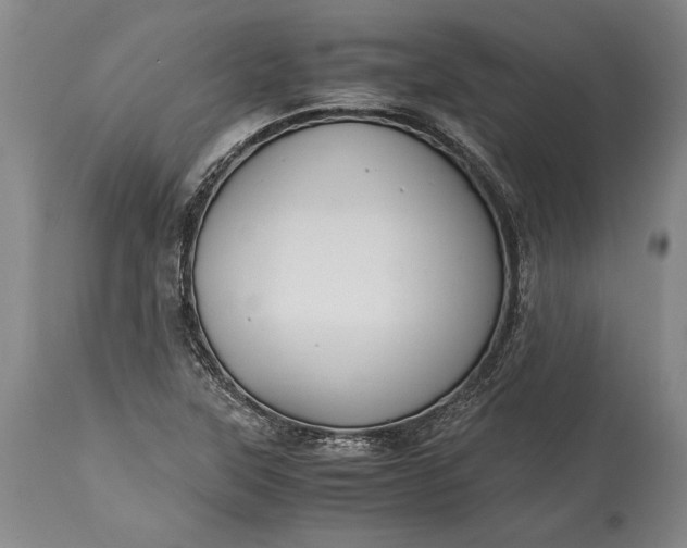 X0000115441315200911181514