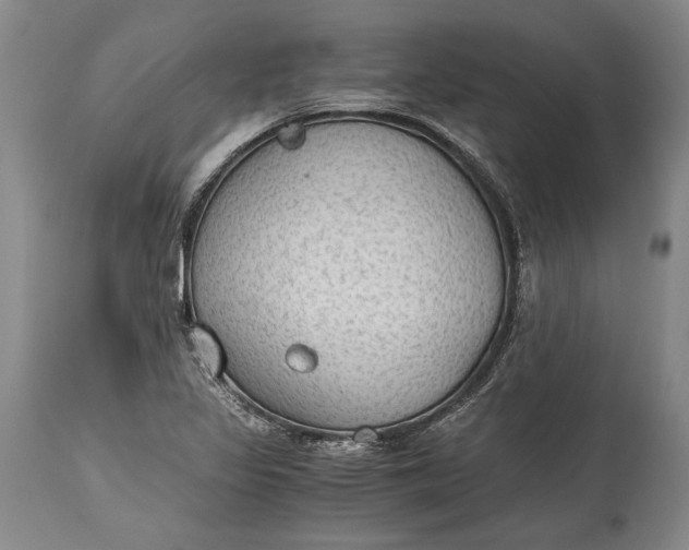 X0000115441317200911181514