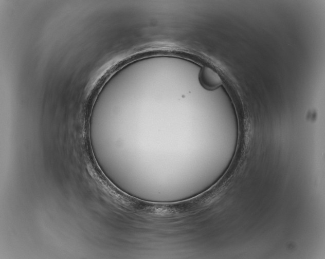 X0000115441318200911181514
