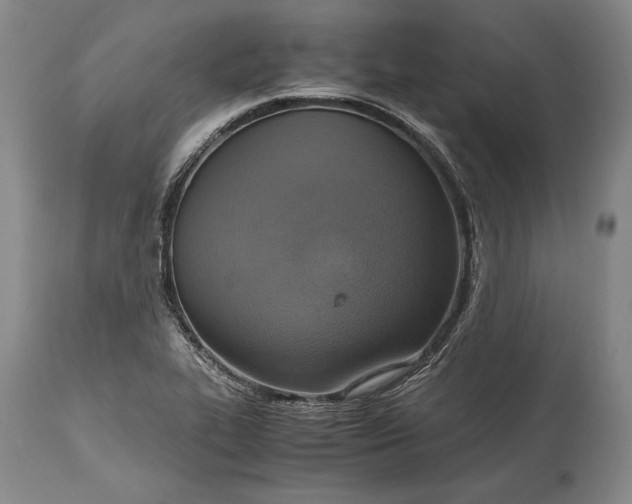 X0000115441319200911181514