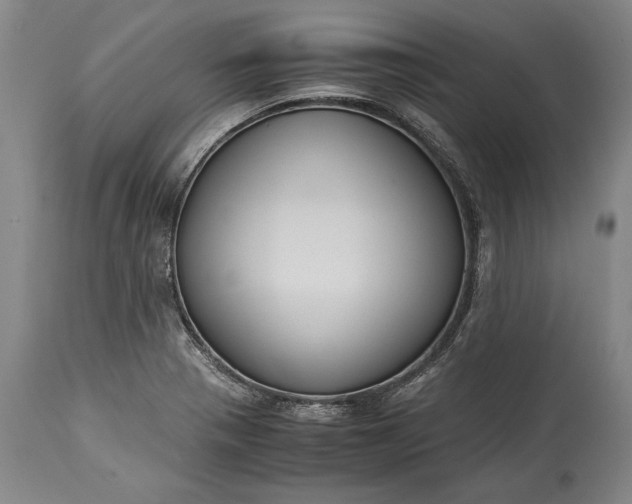 X0000115441321200911181514