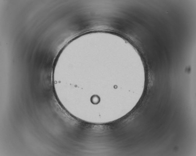X0000115441322200911181514