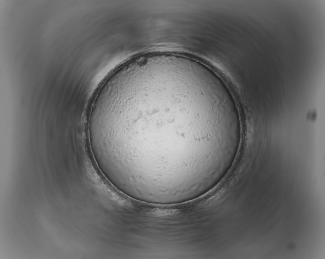 X0000115441325200911181515