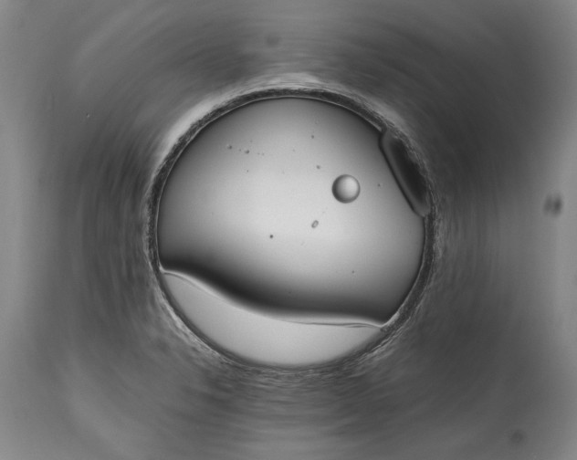 X0000115441326200911181515