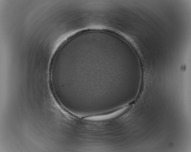 X0000115441327200911181515