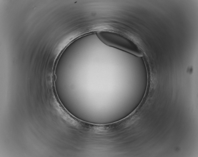 X0000115441330200911181515