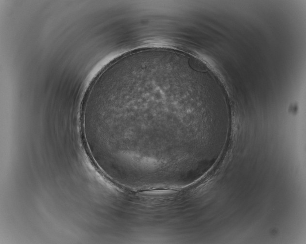 X0000115441331200911181515
