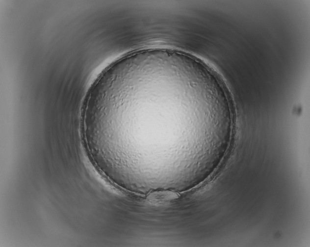 X0000115441333200911181515