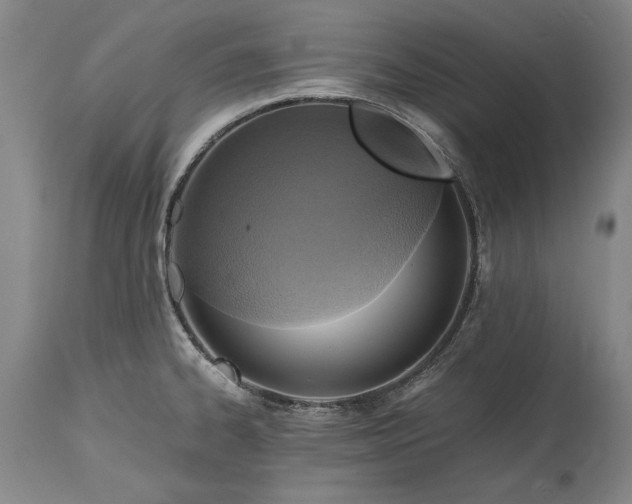 X0000115441334200911181515