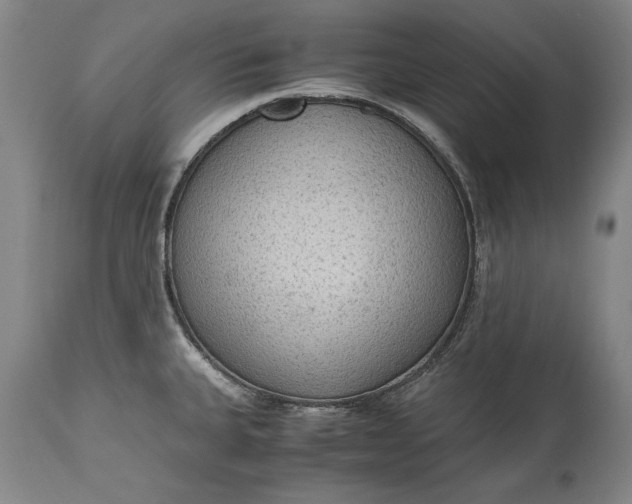 X0000115441335200911181515