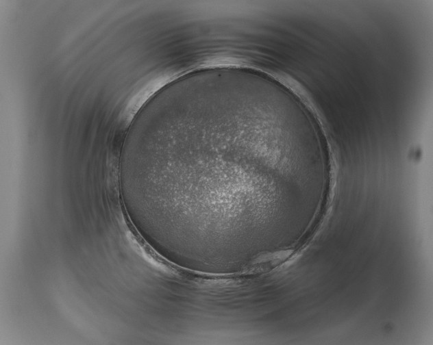 X0000115441337200911181515