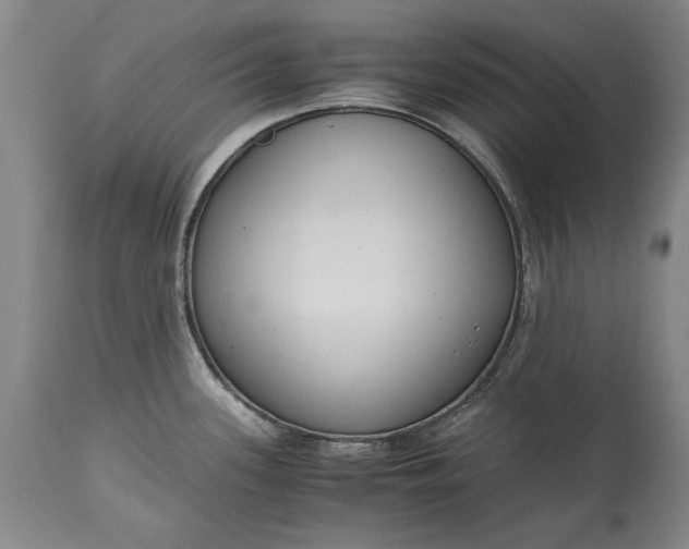 X0000115441339200911181515