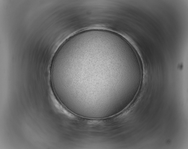X0000115441341200911181515