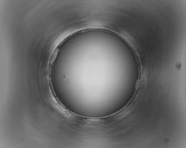 X0000115441342200911181515