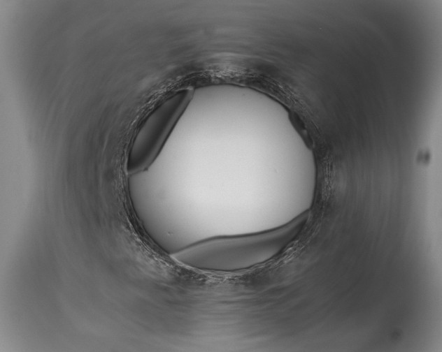 X0000115441345200911181514