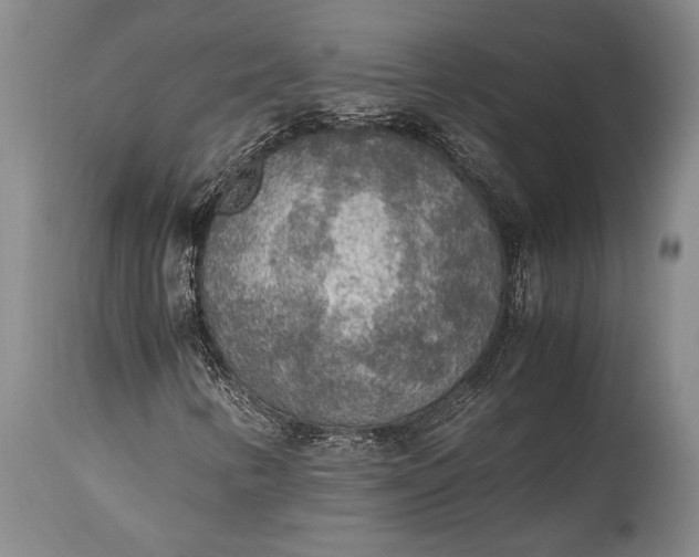 X0000115441346200911181514