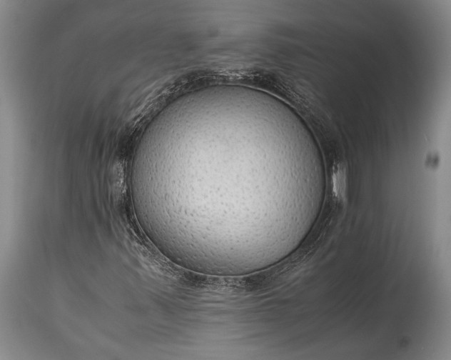 X0000115441347200911181514