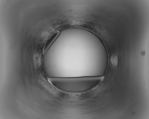 X0000115441348200911181514