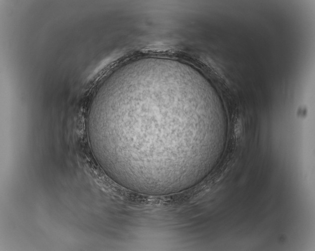 X0000115441350200911181514