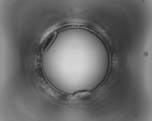 X0000115441352200911181514