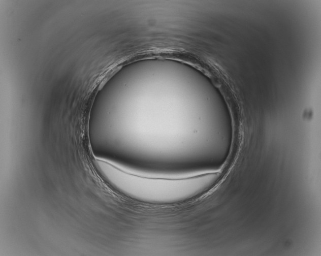 X0000115441353200911181514