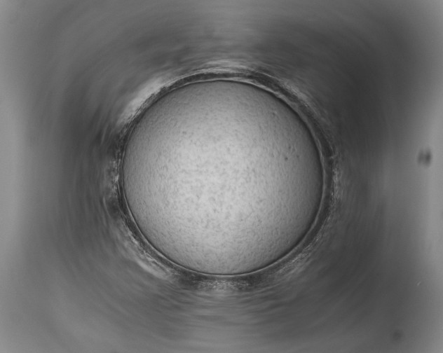 X0000115441355200911181514