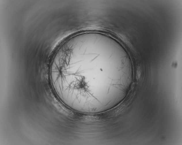 X0000115441356200911181514