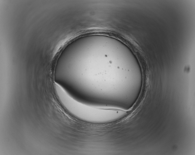 X0000115441357200911181514