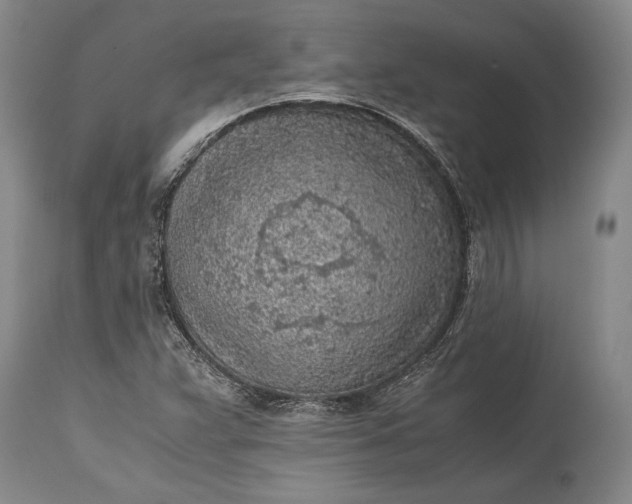 X0000115441359200911181514