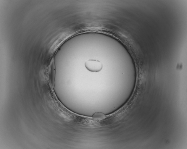 X0000115441361200911181514