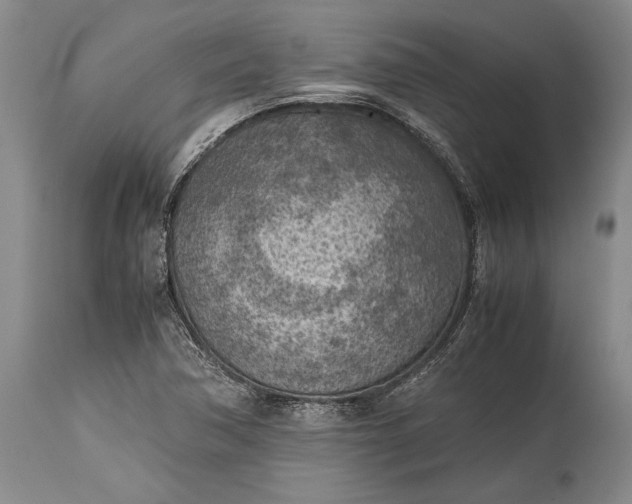 X0000115441362200911181514