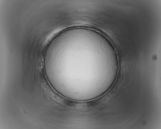 X0000115441363200911181514