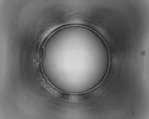 X0000115441364200911181514