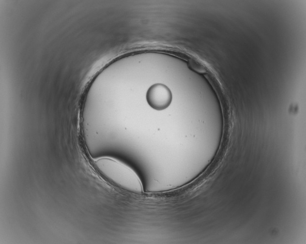 X0000115441365200911181514