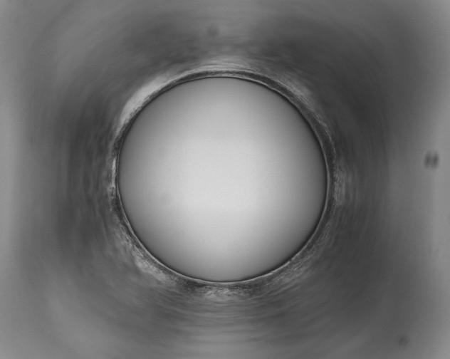X0000115441366200911181514