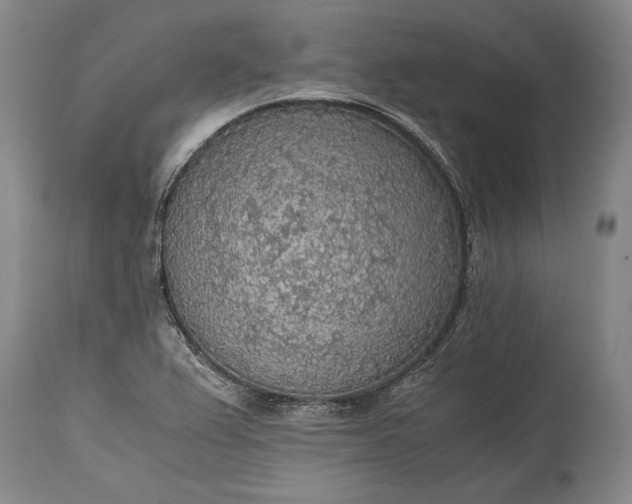 X0000115441367200911181514
