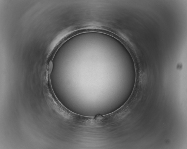 X0000115441368200911181514