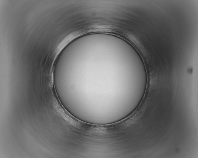 X0000115441370200911181514