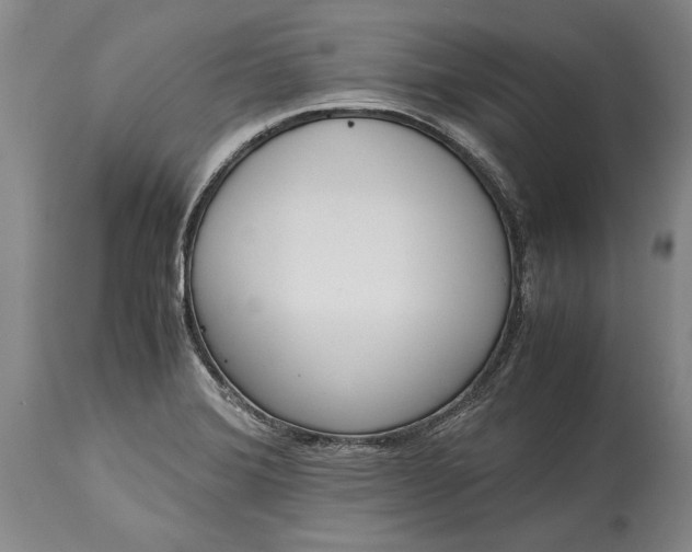 X0000115441372200911181514