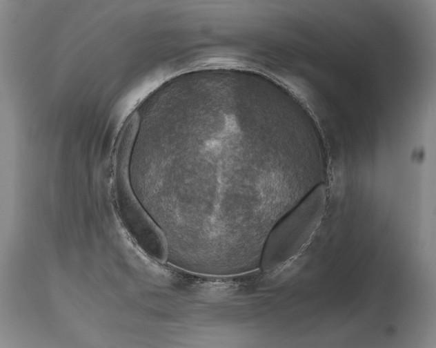 X0000115441373200911181514