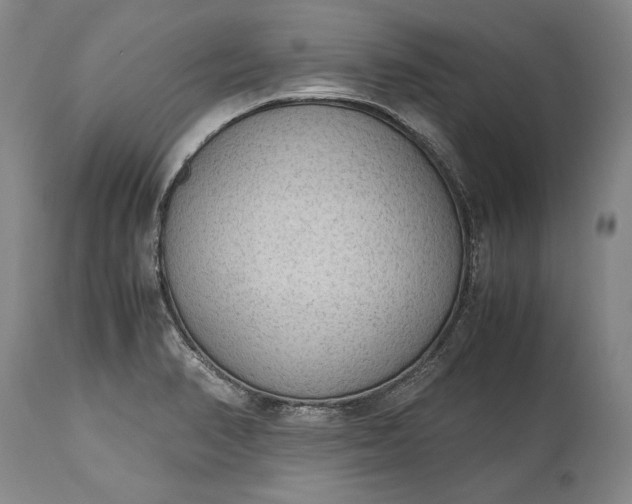 X0000115441374200911181514