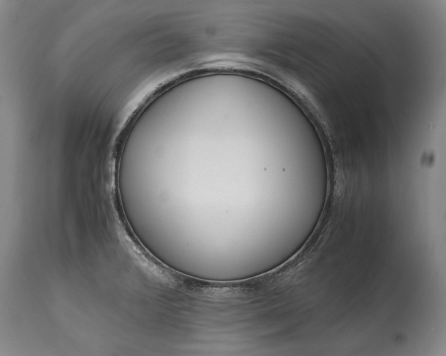 X0000115441376200911181514