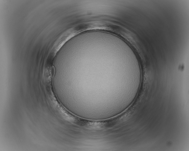X0000115441377200911181513