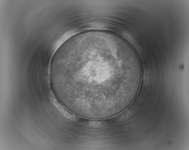 X0000115441378200911181513