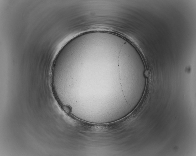 X0000115441379200911181513