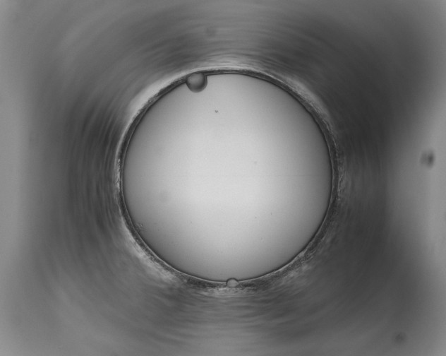 X0000115441380200911181513
