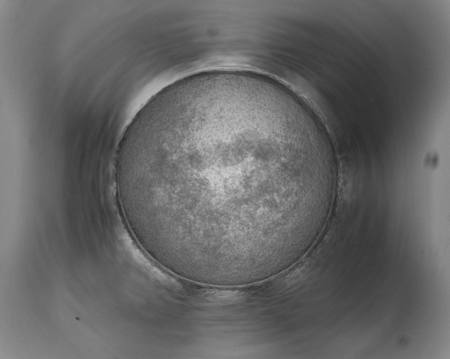 X0000115441382200911181513