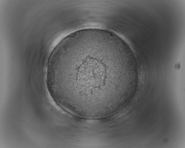 X0000115441383200911181513
